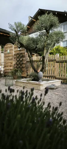 img_20250429_181914_1893913620