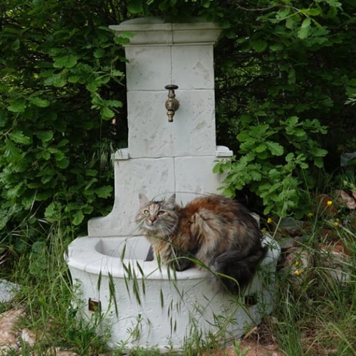 fontaine_venise_bd_0_gfuamm