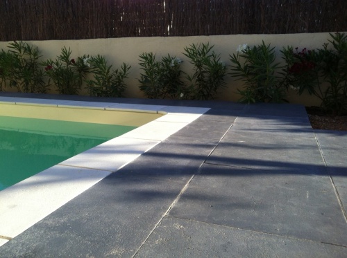 photo_5