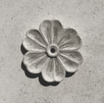 Rosace Flora – Image 3