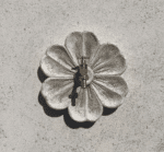 Rosace Flora – Image 4