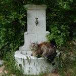 Fontaine Venise – Image 4