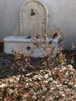Fontaine Saint Tropez – Image 5