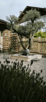 Bloc muret pierres sèches – Image 6